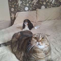 Фото отзыва 10905469