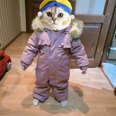 Фото отзыва 10794413