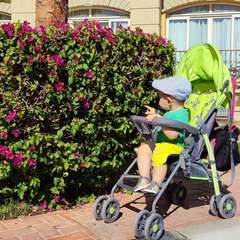 Фото отзыва 11066095