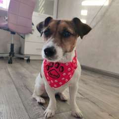 Фото отзыва 4921683