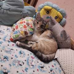 Фото отзыва 10647577