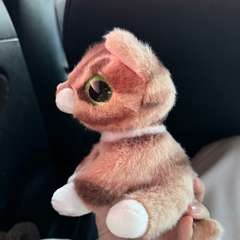 Фото отзыва 11172618