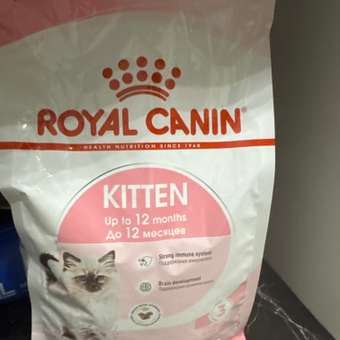 Корм сухой для котят ROYAL CANIN Kitten 1.2кг: отзыв пользователя. Зоомагазин Зоозавр