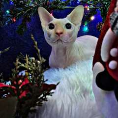 Фото отзыва 10783869