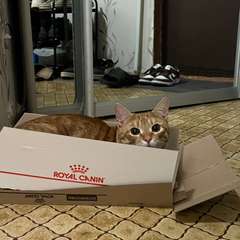 Фото отзыва 10762842