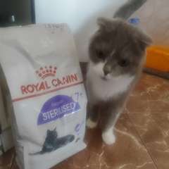 Фото отзыва 10905827