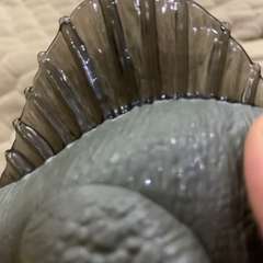 Фото отзыва 11225085