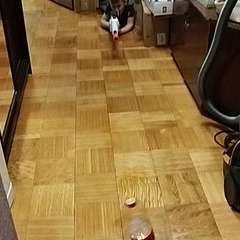 Видео отзыва 11125616