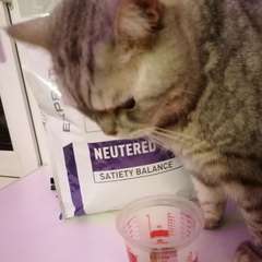 Фото отзыва 11030642