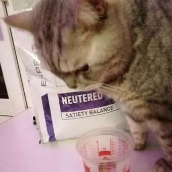Корм для кошек ROYAL CANIN Neutered Satiety Balance стерилизованных 3.5кг: отзыв пользователя. Зоомагазин Зоозавр