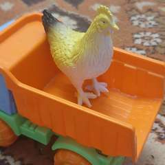 Фото отзыва 5892