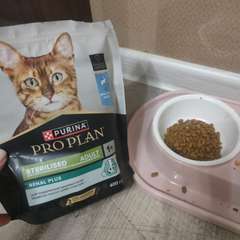 Фото отзыва 10878163