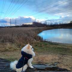 Фото отзыва 10637556