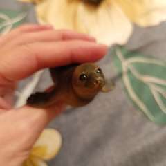 Фото отзыва 10664198