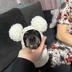 Фото отзыва 8592718