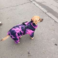 Фото отзыва 10566085