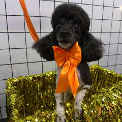 Фото отзыва 10931678