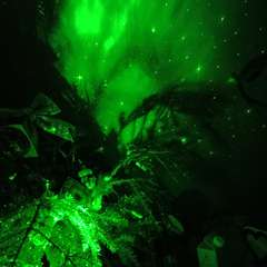 Фото отзыва 10922472