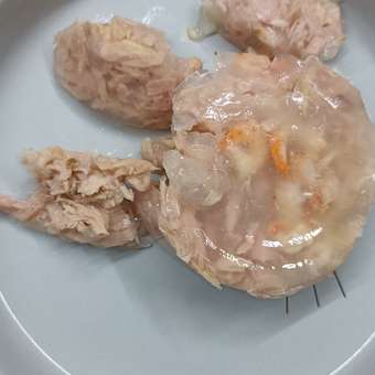 Консервы для кошек GRANDORF FRESH филе тунца с креветками в желе 70г: отзыв пользователя. Зоомагазин Зоозавр