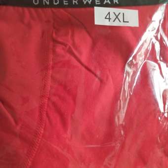 Трусы 4 шт Jim Hussey: отзыв пользователя Детский Мир