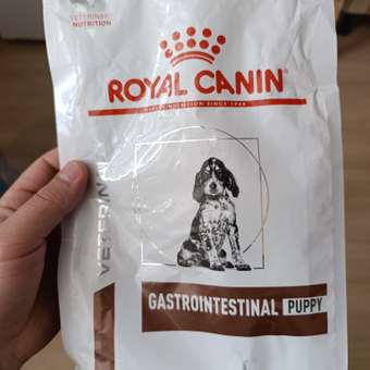 Корм для щенков ROYAL CANIN Gastro Intestinal Junior GIJ29 при нарушениях пищеварения 1кг: отзыв пользователя. Зоомагазин Зоозавр