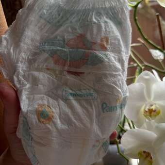 Трусики Pampers Pants Сказочные 6 (15+ кг) 27 шт.: отзыв пользователя Детский Мир