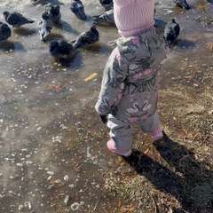 Видео отзыва 8816479