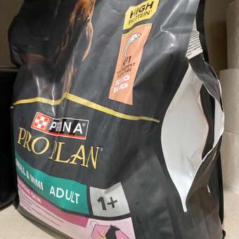 Корм для собак PRO PLAN для мелких и карликовых пород с чувствительной кожей с комплексом Optiderma лосось с рисом 3кг: отзыв пользователя. Зоомагазин Зоозавр