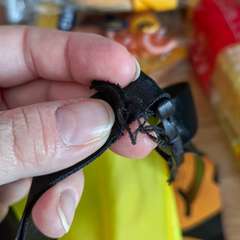 Фото отзыва 11185178