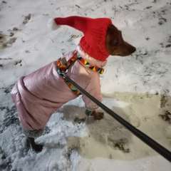 Фото отзыва 10832917