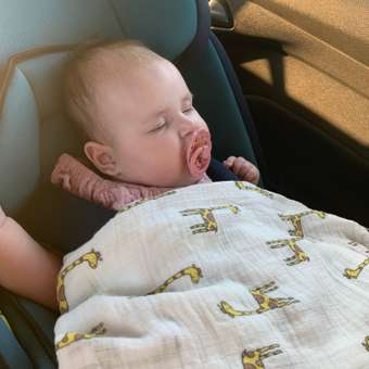 Автокресло Babyton Multi-Stage Isofix 0+/1/2/3 (0-36 кг): отзыв пользователя ДетМир