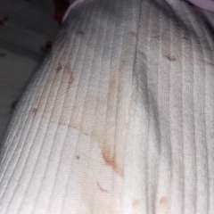 Фото отзыва 10990772