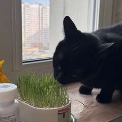 Фото отзыва 11100116