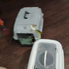 Видео отзыва 10857495