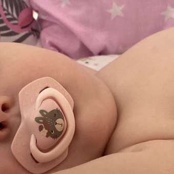 Пустышка Canpol Babies силикон анатомическая от 0 мес. 2 шт.: отзыв пользователя ДетМир