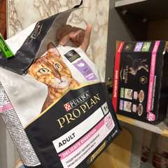 Фото отзыва 10777777