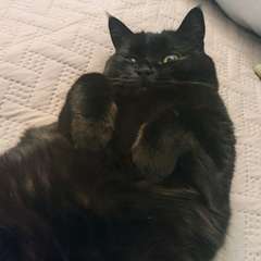 Фото отзыва 10535289