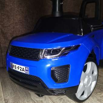 Пушкар BabyCare Sport car синий: отзыв пользователя Детский Мир