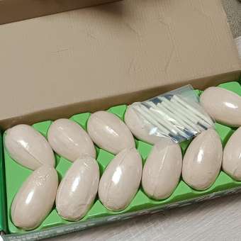 Набор для раскопок Brauberg: отзыв пользователя Детский Мир