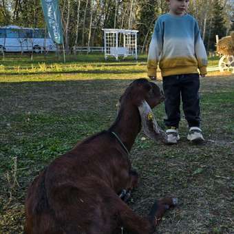 Свитшот Futurino Fashion: отзыв пользователя Детский Мир