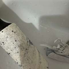 Фото отзыва 11261302