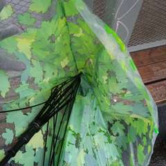 Фото отзыва 10630582