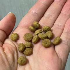 Фото отзыва 10697651