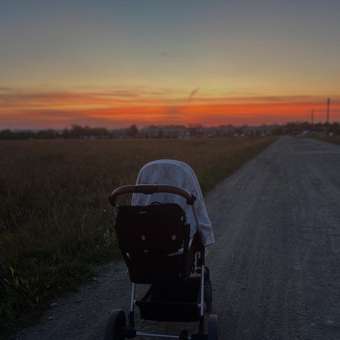 Коляска 3в1 Babyton Flexi Ride Black-Beige бежевый: отзыв пользователя Детский Мир