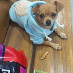 Фото отзыва 10848102