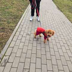 Фото отзыва 10731791