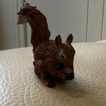 Фигурка Collecta Красная белка: отзыв пользователя Детский Мир