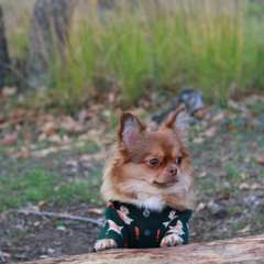 Фото отзыва 10648009