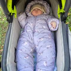 Фото отзыва 10580387