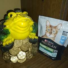 Фото отзыва 10630285